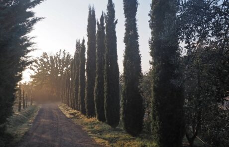 Vacances d'automne en Toscane Italie