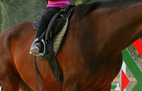 école équitation enfants Italie