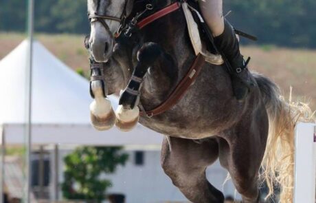 Vacances cheval en Italie