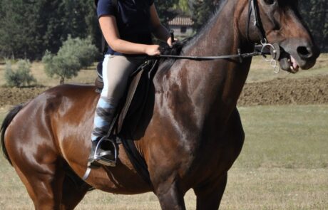 Balade cheval en Toscane Italie