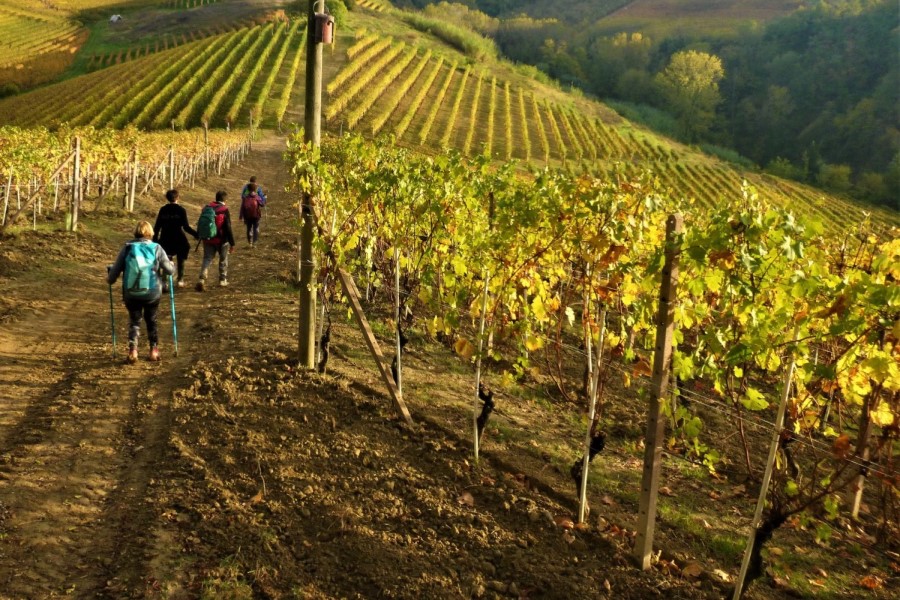 Quel sont les plus beuax chemins promenade Italie