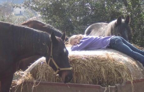 Vacances à cheval en Toscane, Italie, en automne