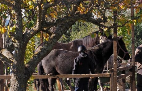 Vacances à cheval en Toscane en automne