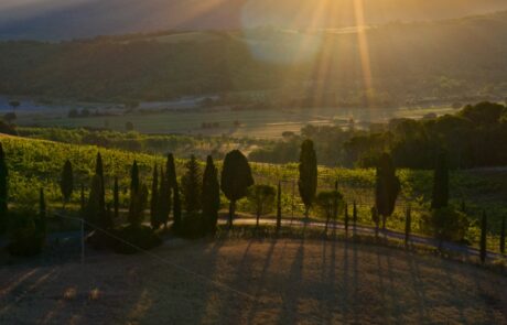 Sous le soleil de Toscane, vacances d'été