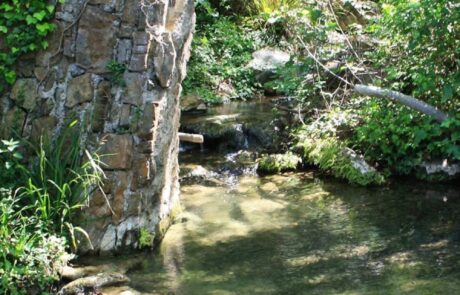 Eau chaude dans la forêt en Toscane