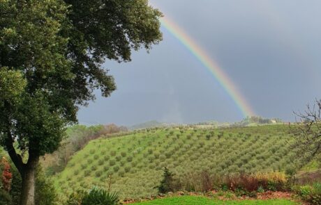 Hiver en Toscane, vue sur un arc-en-ciel