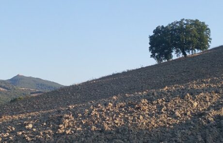 Vacances d'automne à Sienne, Toscane, Italie