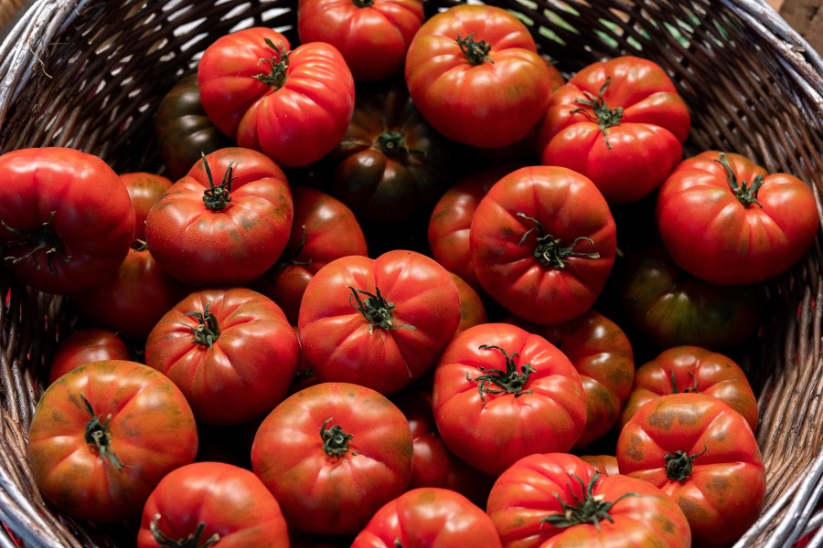 Cuisine toscane, accompagnement de tomates