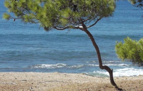 Maremme et sa mer en Toscane