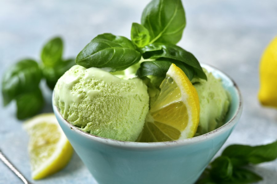 Repas au gîte en Toscane, Italie, avec de la glace au basilic en dessert