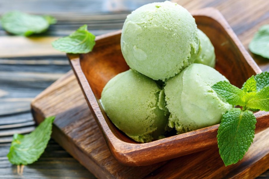 Repas au gîte en Toscane, Italie, avec un sorbet à la menthe en dessert