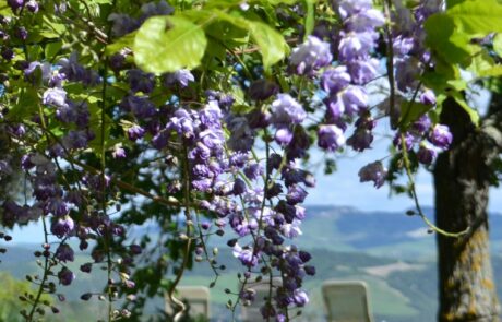 Appartement en Toscane terrasse printemps