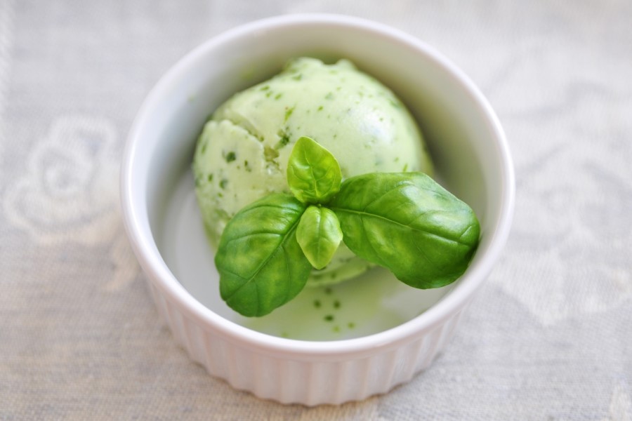 Repas au gîte en Toscane, Italie, avec un sorbet au basilic en dessert