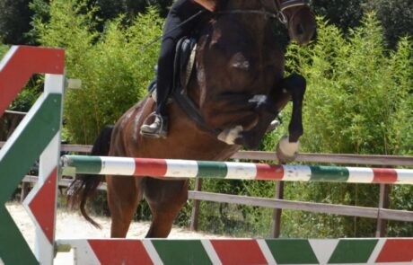 Centre équitation en Toscane Italie