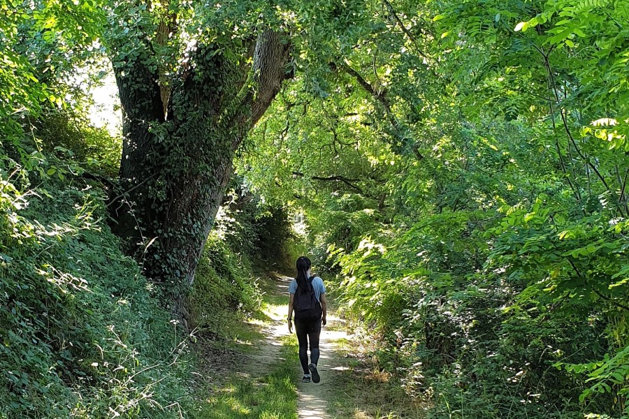 Meilleur chemin promenade en Toscane