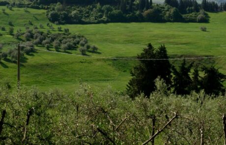 Vacances à la campagne en Toscane au printemps