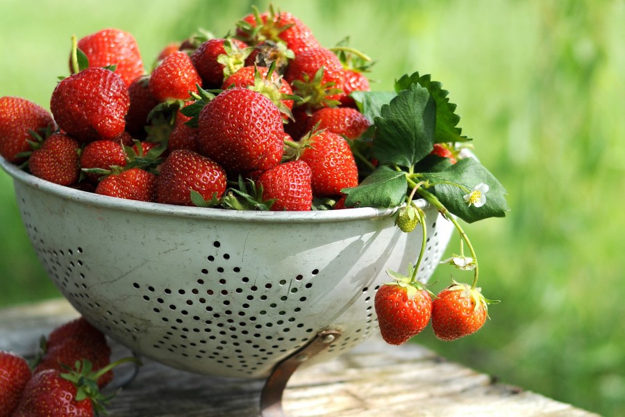 Repas au gîte en Toscane, Italie, avec des fraises en dessert