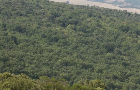 Toscane VTT piste du parc naturel Berignone