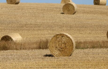 Vacances en Toscane Italie bottes de foin