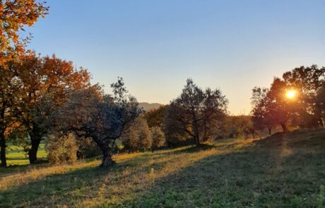 Vacances d'hiver en Toscane, Italie