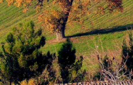 Vacances d'automne en Toscane, Italie