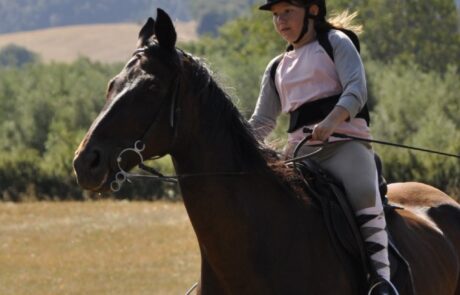 Balade à cheval en Toscane Italie