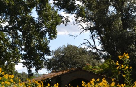 Vacances en septembre en Toscane, Italie