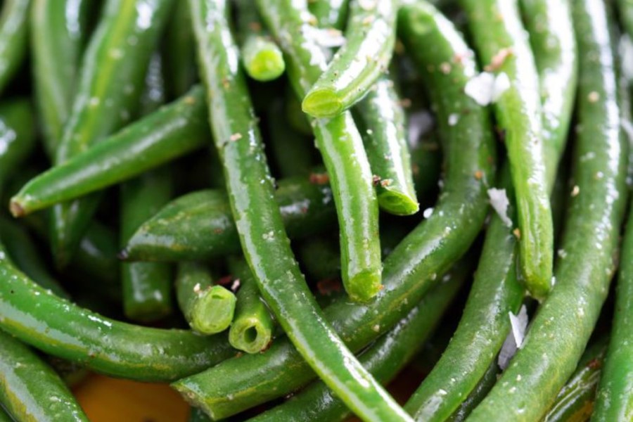 Cuisine végétarienne de la Toscane, Italie : haricots verts