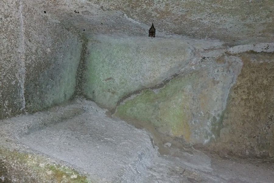 Caverne étrusque en Toscane