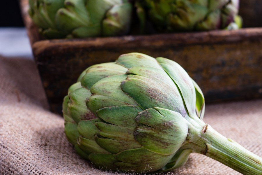 Cuisine végétarienne de la Toscane, Italie : artichauts