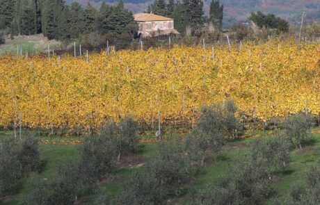 Agriturismo en Toscane, vacances en automne