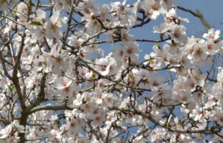 Urlaub in der Toskana im Frühling Italien