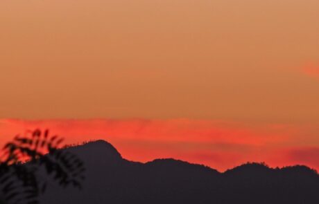 Toskana Garten beim Ferienhaus im Sonnenuntergang