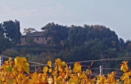 Ferien in der Toskana im Oktober Herbst