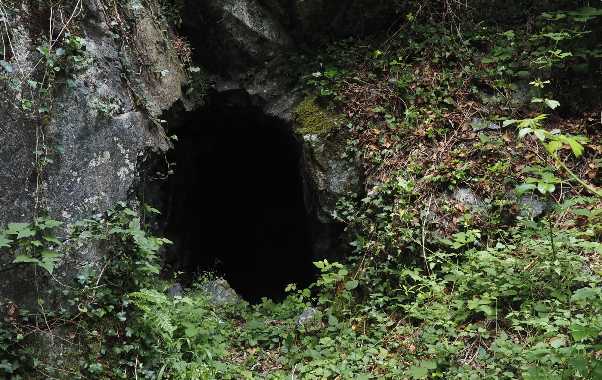 Höhle Eingang im Wald Naturschutzgebiet Toskana