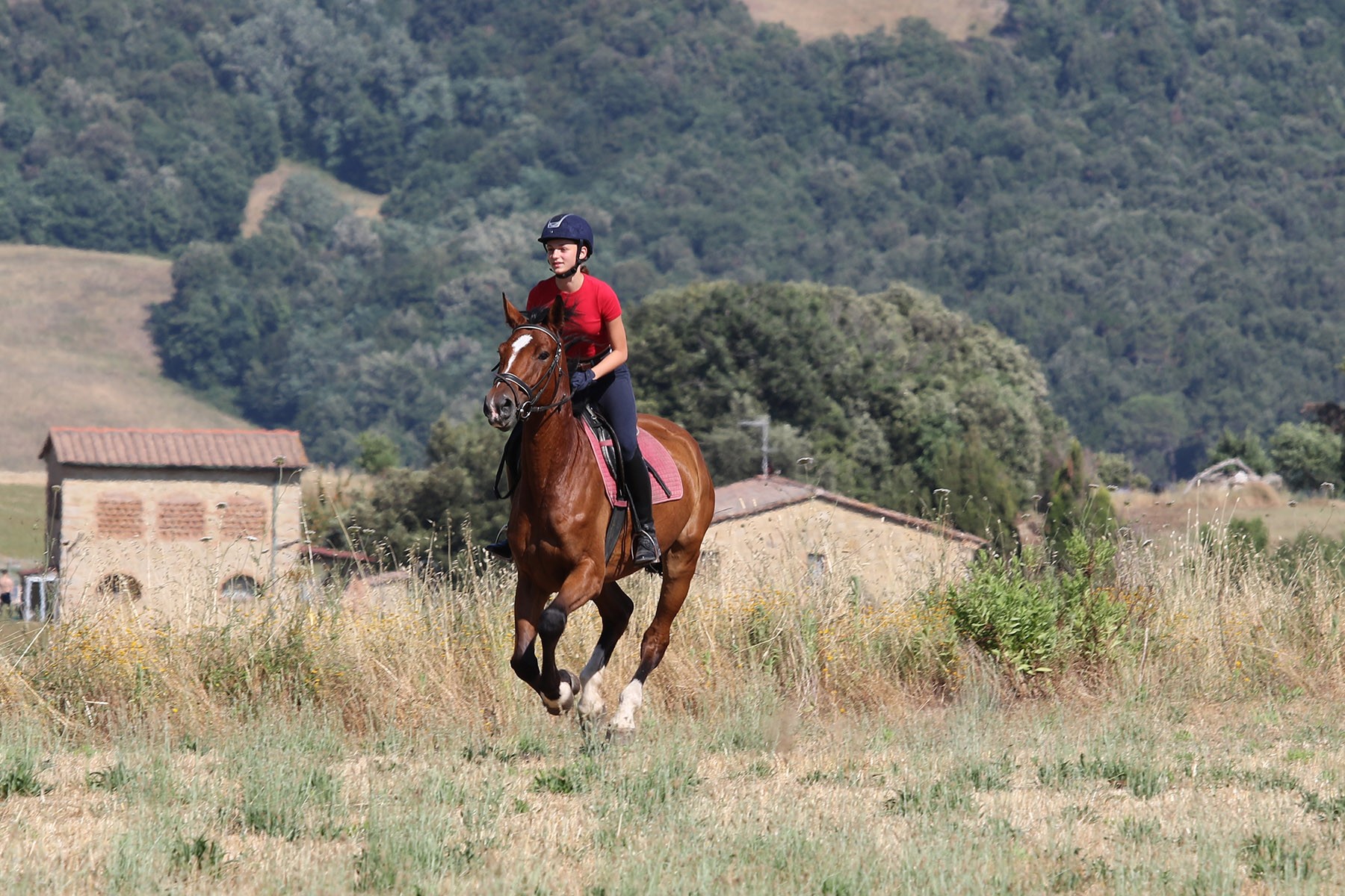 Reiten Toskana Pferd auf Feld und alter Bauernhof