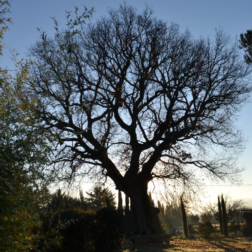 Winter in der Toskana Italien Ferien