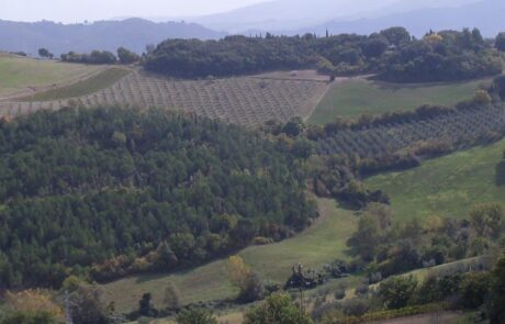 agriturismo Podere Palazzone en Toscane