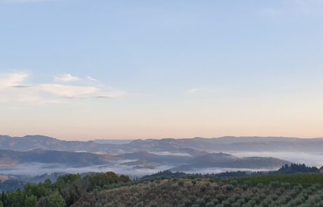 agriturismo en toscane avec jolie jardin