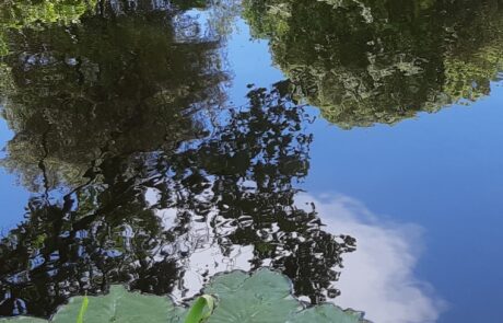 maison vacances en toscane avec jardin