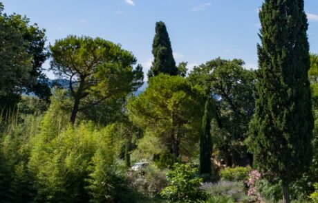 gite avec piscine et jardin en toscane