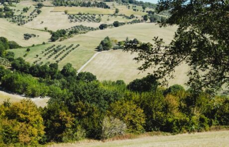 agriculture en toscane Italie