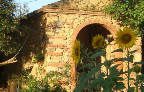 ferme vacances à Sienne