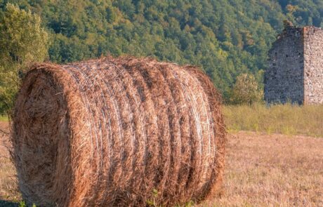 balles de foin en toscane Italie