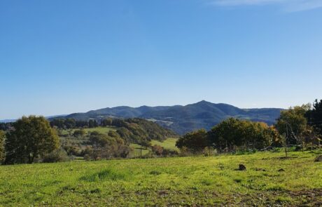 foret et nature en Toscane Italie