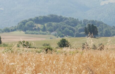 nature en toscane avec collines