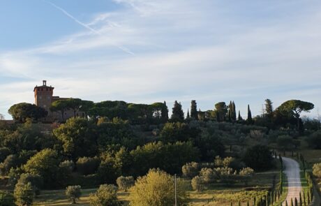 Promenade en Toscane Sienne