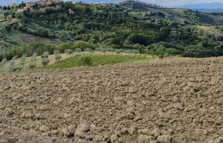 collines toscane Italie promenade