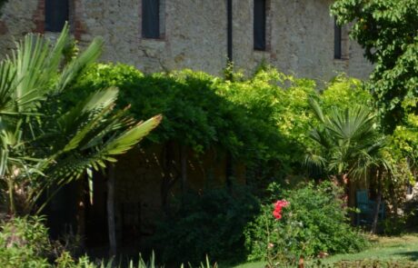 ferme vacances avec piscine en toscane