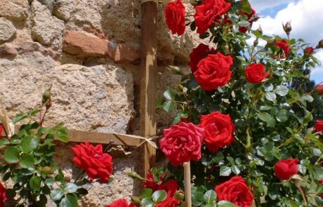 agriturismo à Volterra